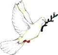 Peace dove