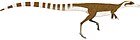 Sinosauropteryx prima