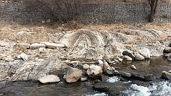 단양군 조선 누층군 막골층에 발달한 배사습곡 구조