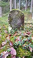 sandstone used as boundary stone around ban border of Herzog Alexander von Württemberg possession "Geigenholz", Germany