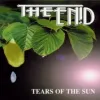 (Progressive Rock) [WEB] The Enid - Tears Of The S...