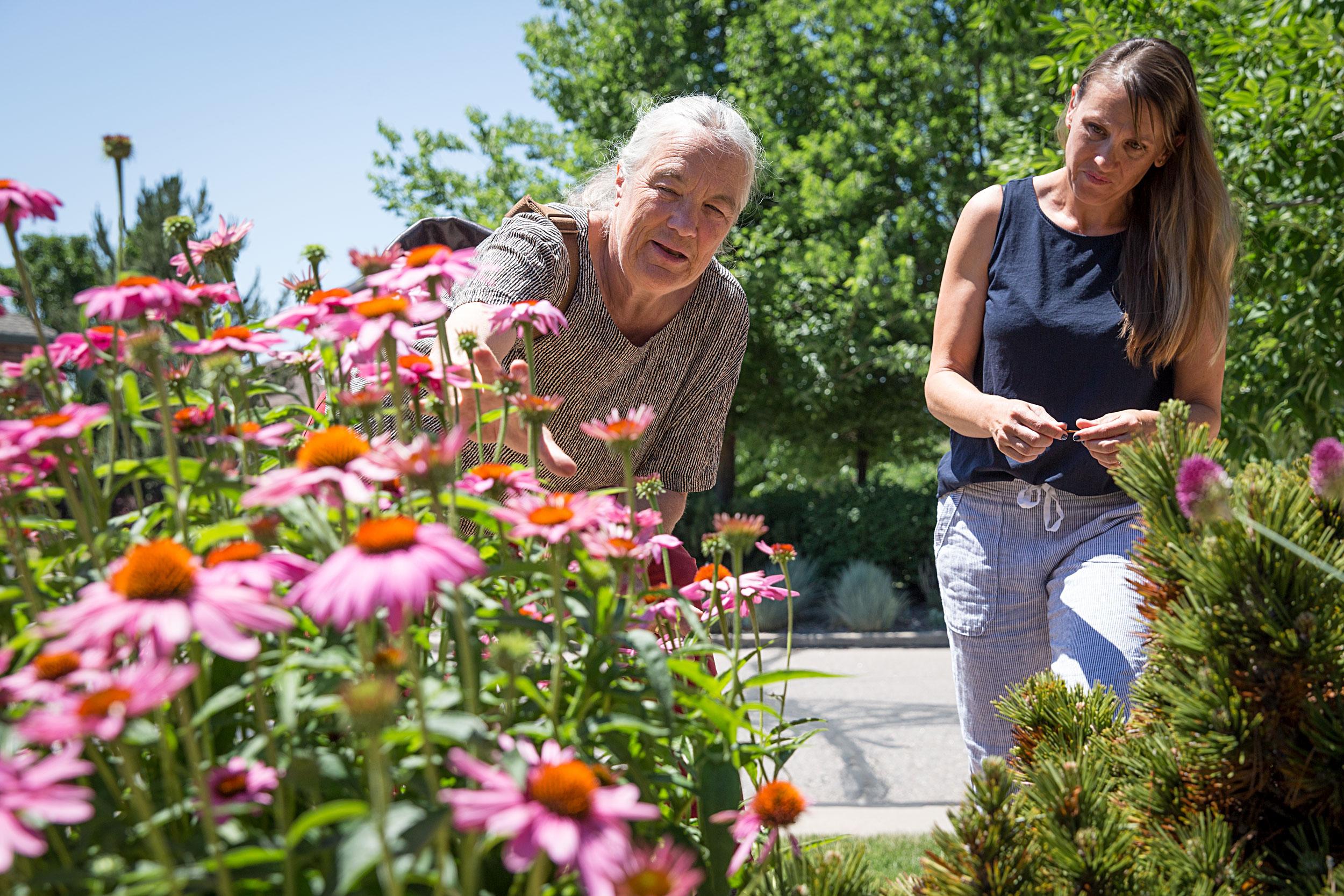 Sustainable Gardening Lakewood Colorado Wonders