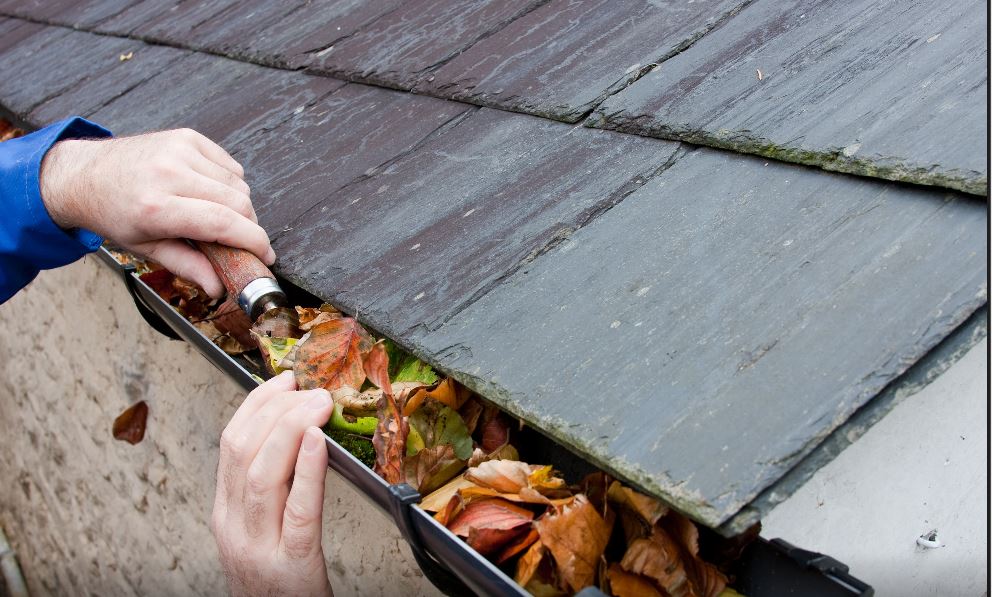 Gutter Cleaning Costs