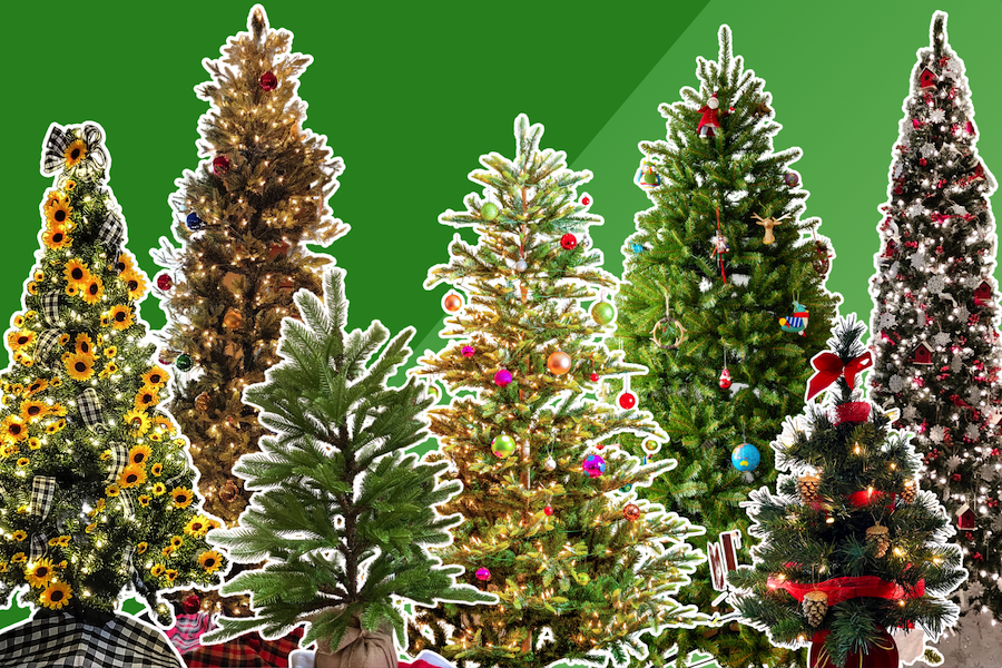 Multiple tested christmas trees on green background