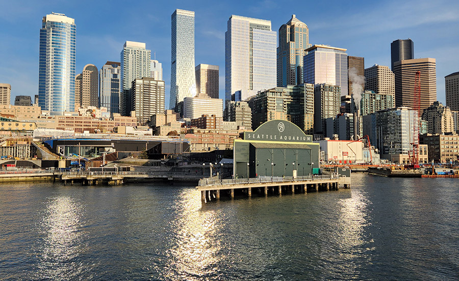 Marine Contractor Sues Seattle Over Ongoing Waterfront Pier Project