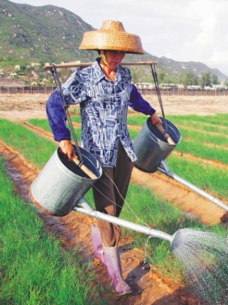 “植树娘子军”陶凤交：几十载坚持 硬把沙漠变绿洲