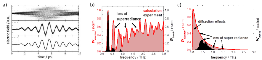 THZ based diagnostic - headlinefigure