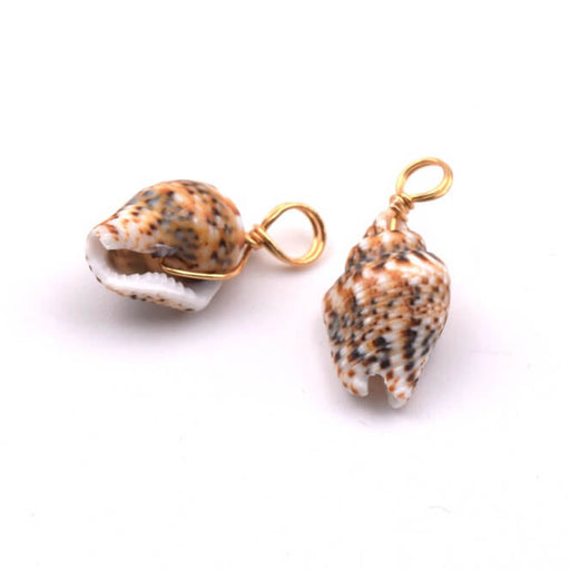 Achat Pendentif coquillage naturel 15-20mm et laiton doré - Trou 4mm (2)