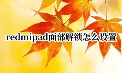 redmipad沿ô