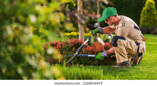 Landscaping