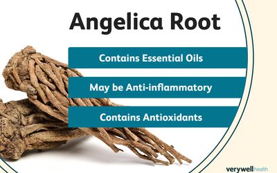 Angelica Root nutrition information