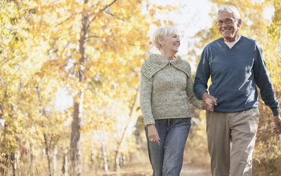 Senior couple walking in the woods hand in hand