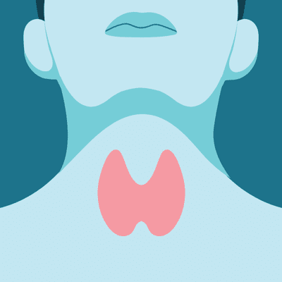 Thyroid