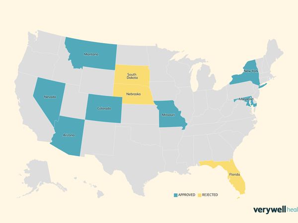 Abortion rights measures 2024 election