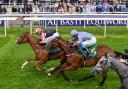 Fortification wins at York Racecourse last week in the Dante Festival.