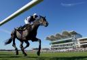 Trainer Ed Walker believes that the William Hill Bronte Cup at York Racecourse could provide an opportunity for Miss Alpilles.
