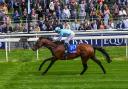Klassleader winning at York this May