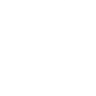 The New York Times icon