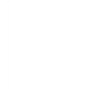 Facebook Pages icon