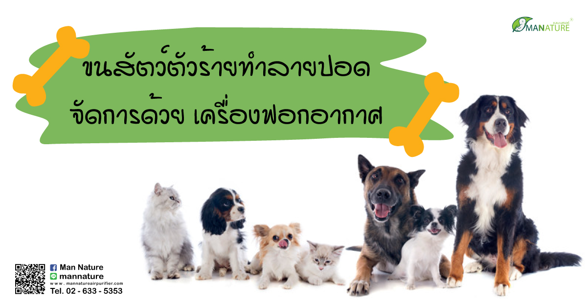 ขนสัตว์ตัวร้ายทำลายปอด จัดการด้วย เครื่องฟอกอากาศ