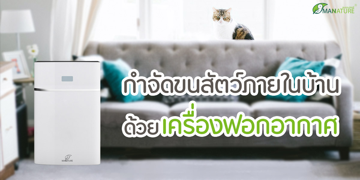 กำจัดขนสัตว์ ภายในบ้านด้วย เครื่องฟอกอากาศ ( Air Purifier )