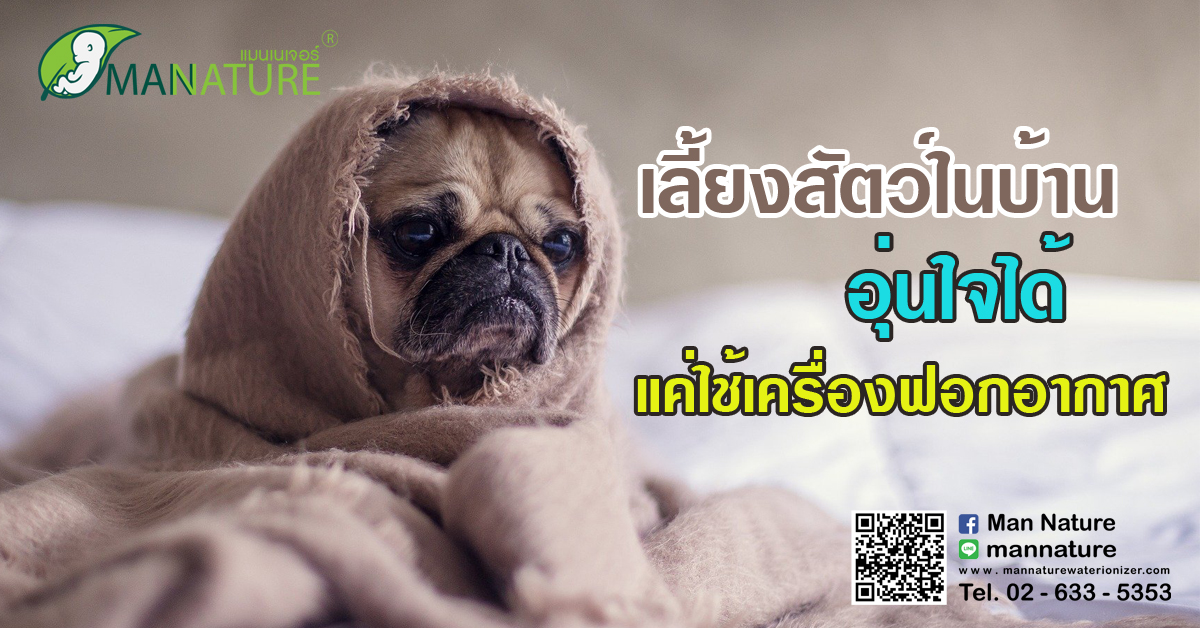 เลี้ยงสัตว์ในบ้าน อุ่นใจได้ แค่ใช้เครื่องฟอกอากาศ