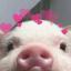 @The-Greatest-Piggy