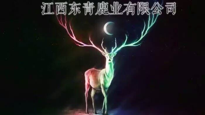 江西省东青鹿业有限公司