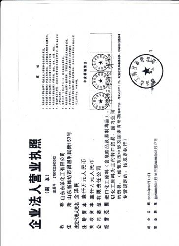 山东东洋化工有限公司