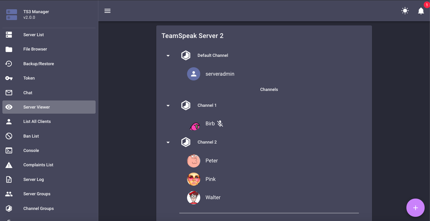 Screen Recording TS3 Manager Server Viewer