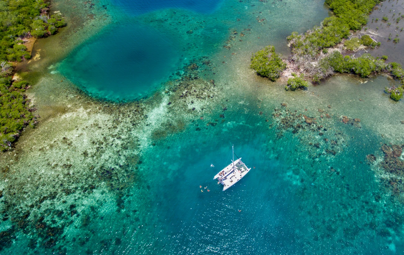 Explore the wonder of coral reefs