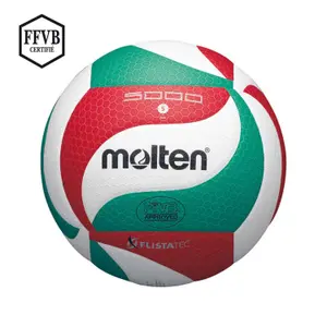 Competition Volleyball Ball Molten V5M5000 LNV