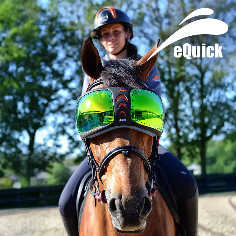 Equick