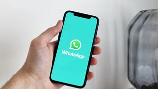 WhatsApp on smartphone in a hand