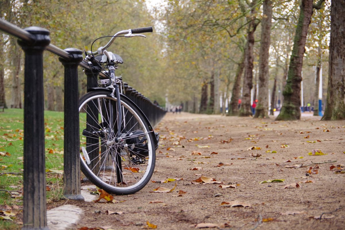 Bicylce leaning against railing in a park