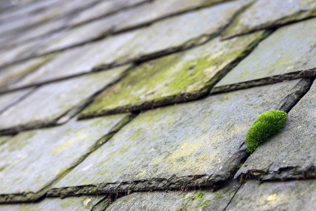 Roof And Gutter Contractors Near Me North Hollywood CA