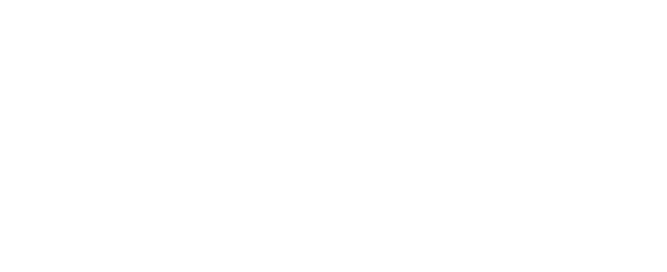 Netskope logo