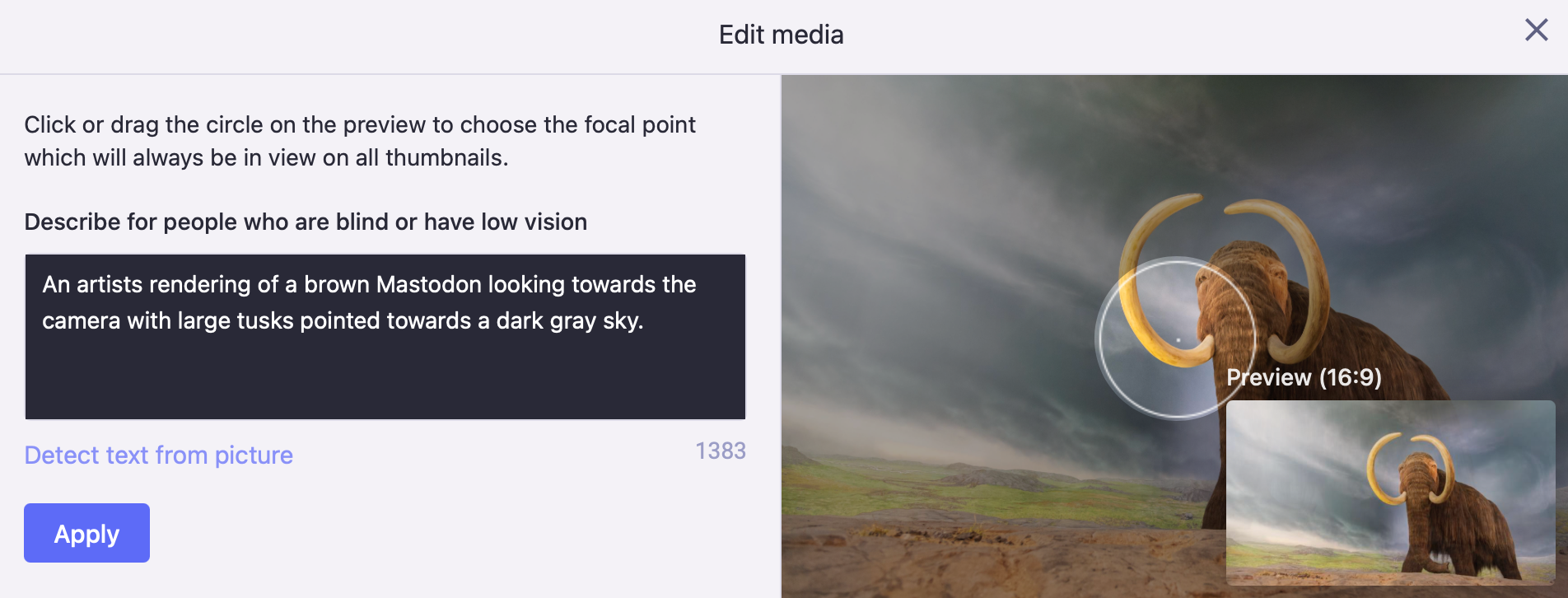 Edit media to add a media description (ALT text) or choose a focal point for the preview thumbnail