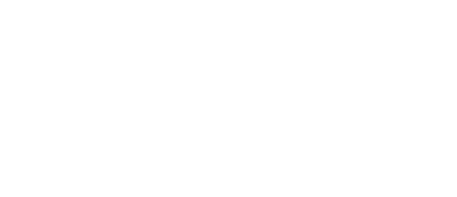 nyc logo