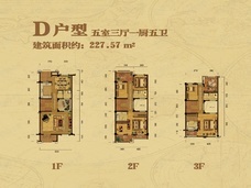 卧龙墨水湖边领墅5室3厅5卫户型图