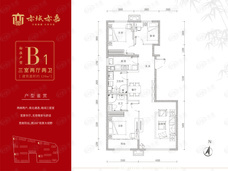 亦城亦嘉B1户型户型图