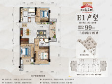 贵安新天地贵丰苑二区E1户型99㎡户型图