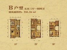 卧龙墨水湖边领墅5室3厅4卫户型图