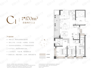 武汉城建·星河2049·星里城C1户型户型图