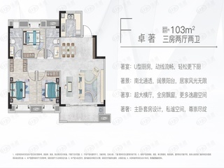 美好长江首玺F户型户型图