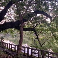 Photo taken at Inokashira Park by ツジイコウタ on 8/13/2020