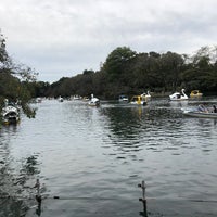 Photo taken at Inokashira Park by みど(ΦoΦ*)π～ﾆｬ~♪ on 10/26/2019