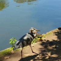 Photo taken at Piedmont Park by Trin B. on 4/26/2017