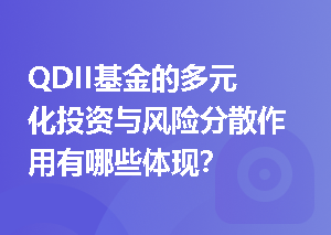 QDII基金的多元化投资与风险分散作用有哪些体现？