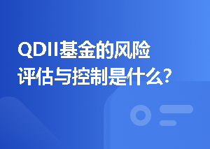 QDII基金的风险评估与控制是什么？